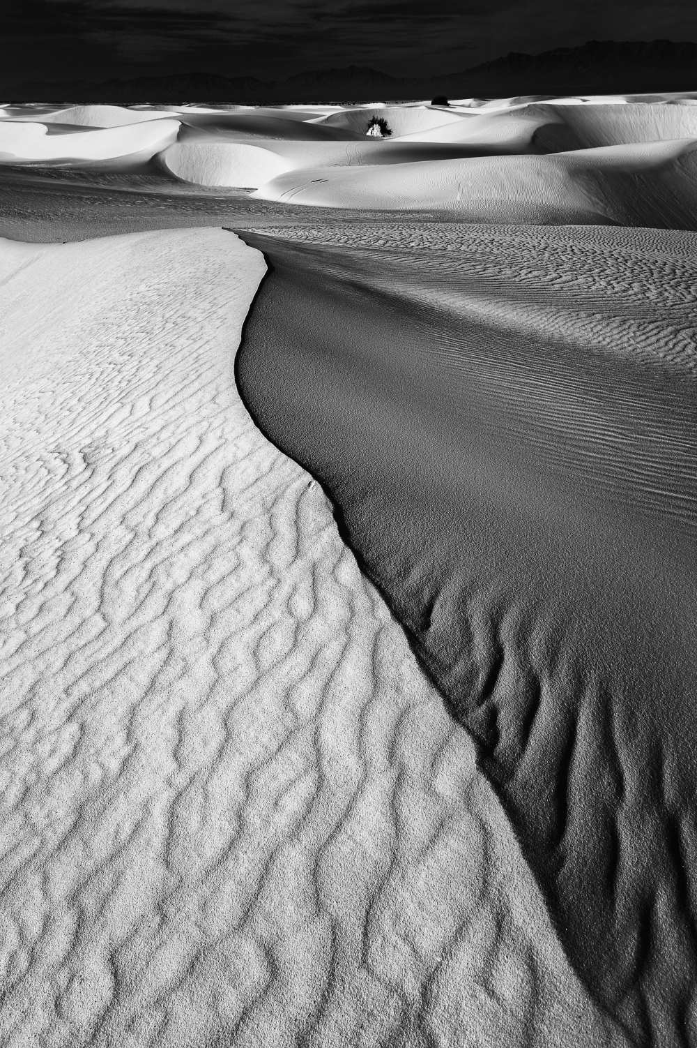 Sand Waves from Lydia Jacobs
