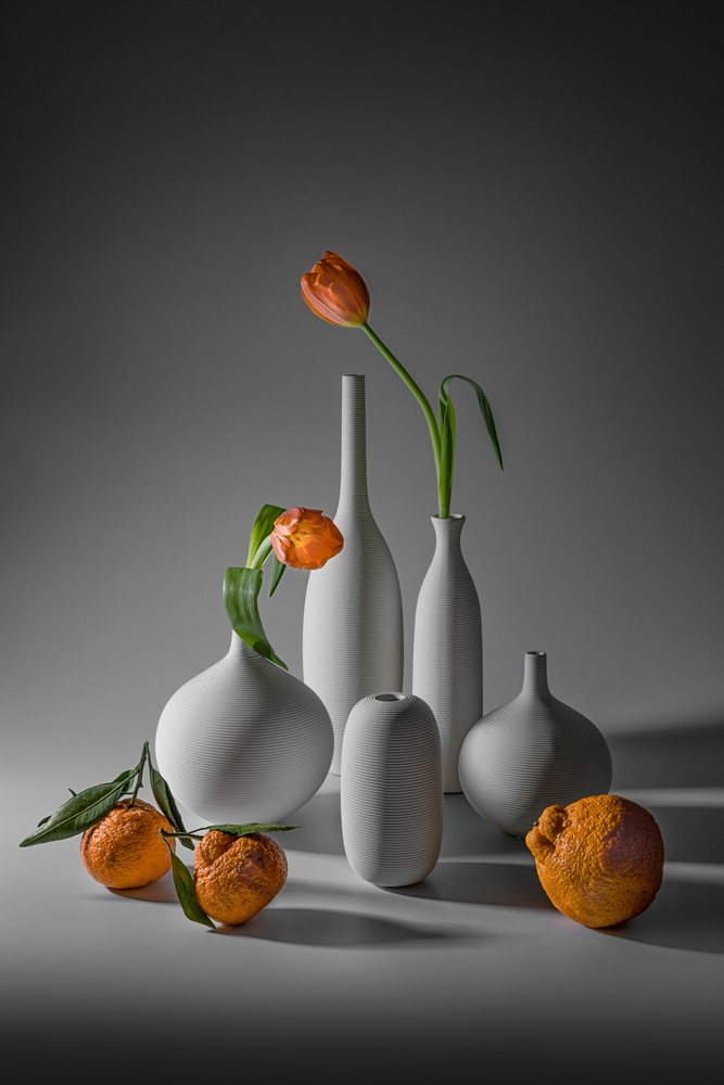 Tulip and Mandarin Orange from Lydia Jacobs