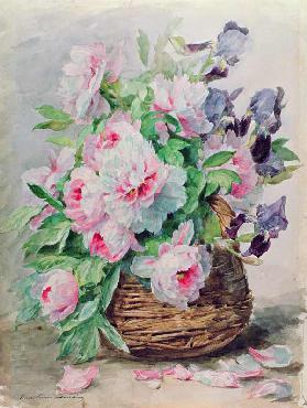 Irises and Peonies in a Basket (w/c and gouache on paper)