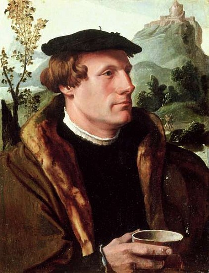 Portrait of a Gentleman from Maerten van Heemskerck