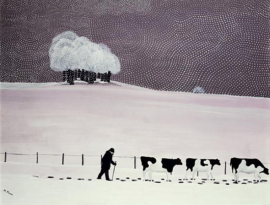 Cows in a snowstorm  from  Maggie  Rowe