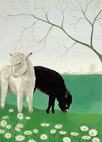 Donkeys and Daisies from  Maggie  Rowe