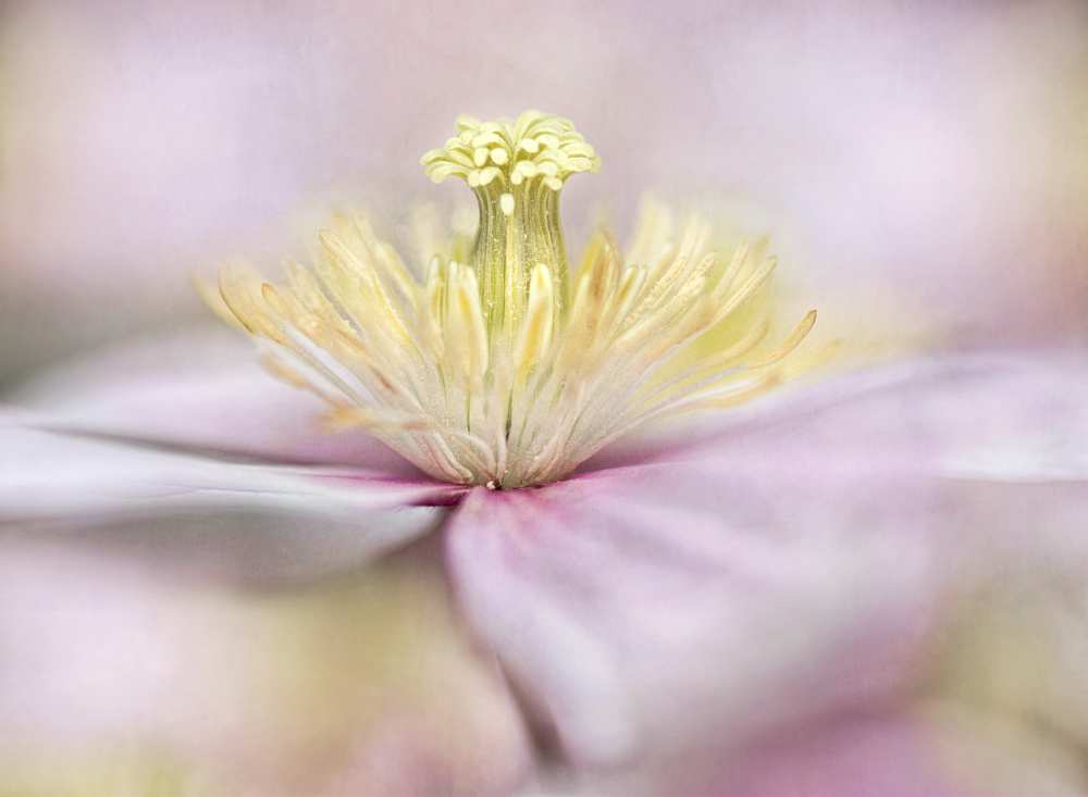 Montana from Mandy Disher
