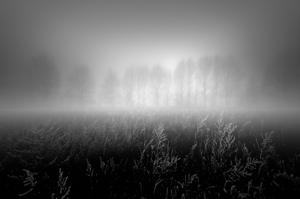Misty row from Marc Huybrighs