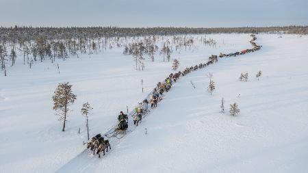 Nenets caravan on the move I