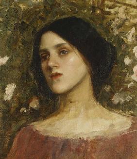 Pallas Athena Oil Painting Of Gustav Klimt As Art Print Or Hand Painted Oil