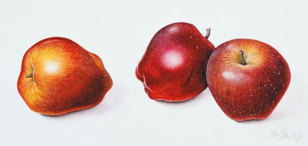 Red Apples, 1996 (w/c on paper) 