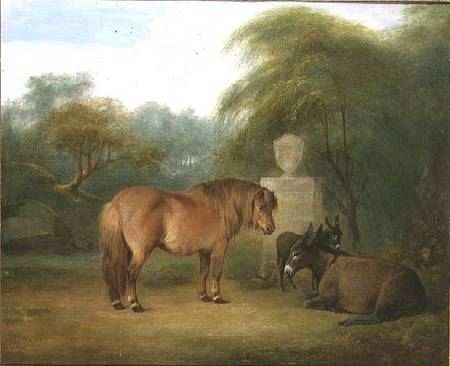 Pony and Donkeys in a Glade from Maria Spilsbury