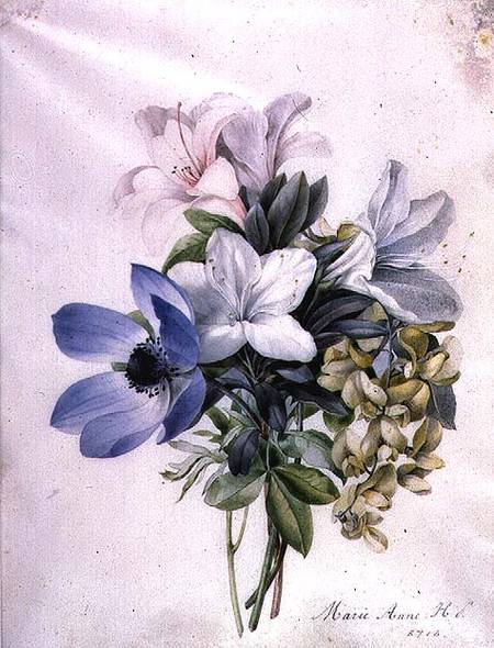 Anemone, wisteria and laburnum from Marie-Anne