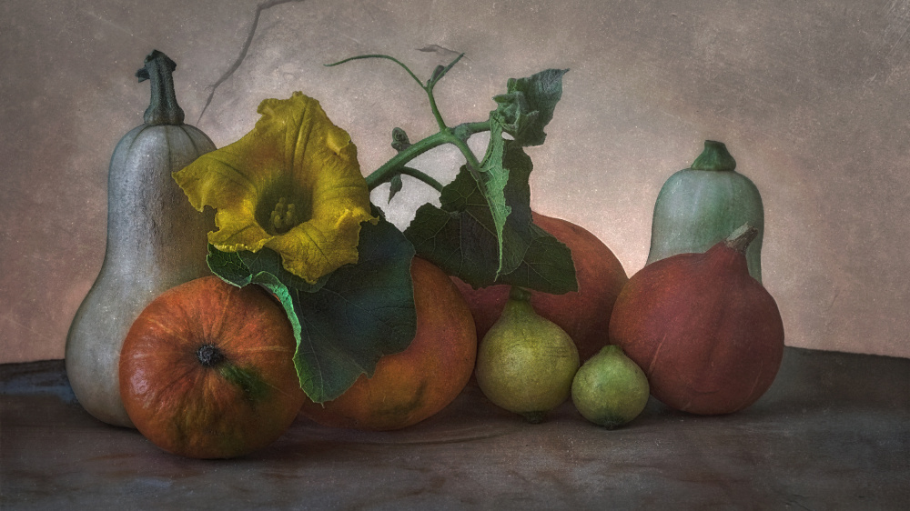 Autumn Harvest from marie-anne stas