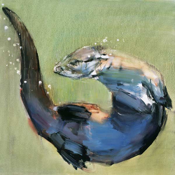 Otter from Mark  Adlington