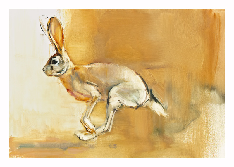 Cape Hare from Mark  Adlington