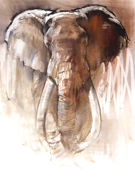 Bull Elephant from Mark  Adlington