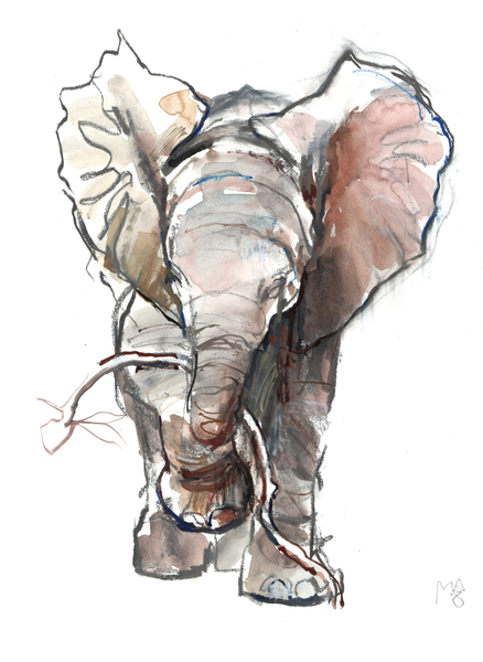 Dumbo from Mark  Adlington