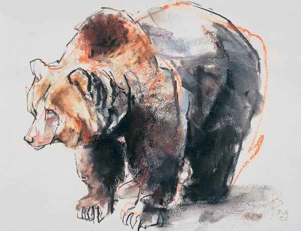 European Brown Bear from Mark  Adlington