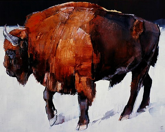 European Bison from Mark  Adlington