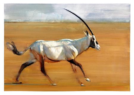 Galloping Oryx
