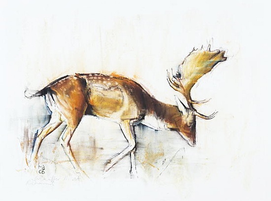 Pisanello Buck from Mark  Adlington