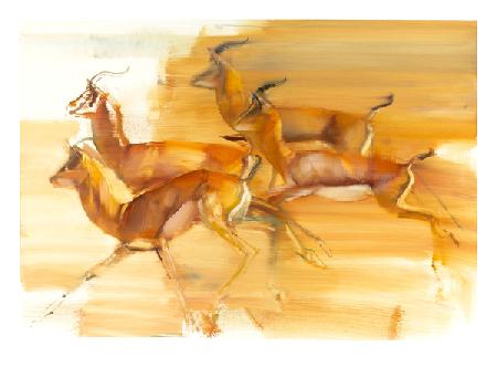 Running Gazelles