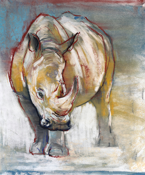White Rhino, Ol Pejeta from Mark  Adlington