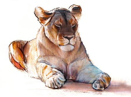 Yogi Lioness