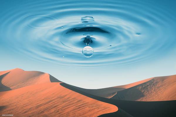 The Desert from Markus Bergmann