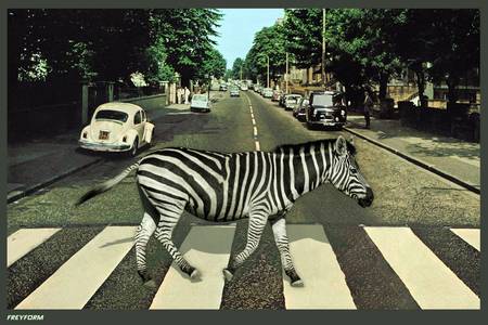 Zebra Crossing