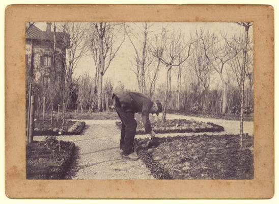 Gustave Caillebotte (1848-94) gardening at Petit Gennevilliers, February 1892 (b/w photo) from Martial Caillebotte