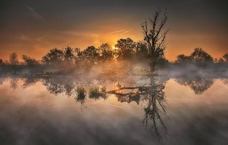 Autumn morning in lowlands