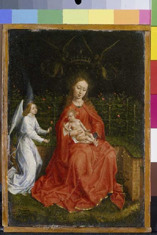 Madonna in front of the rose hedge from Martin Schongauer (Umkreis)