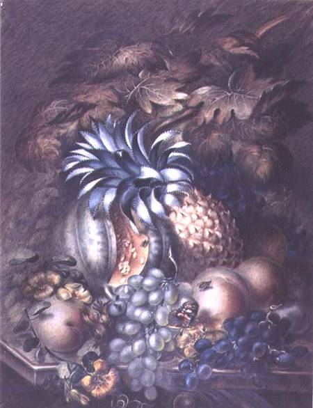 Study of Fruit from Mary Bradley