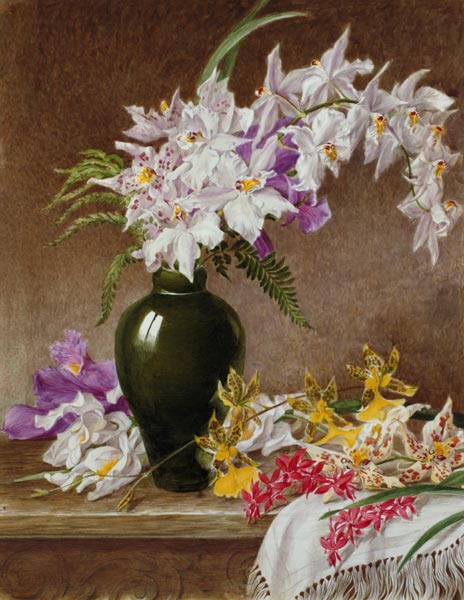 Orchids in a Vase from Mary Elizabeth Duffield