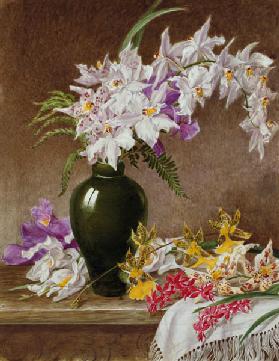 Orchids in a Vase