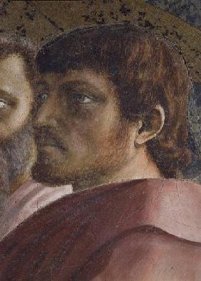 Tribute Money (Head of an Apostle - detail of 31642) c.1427 (fresco)