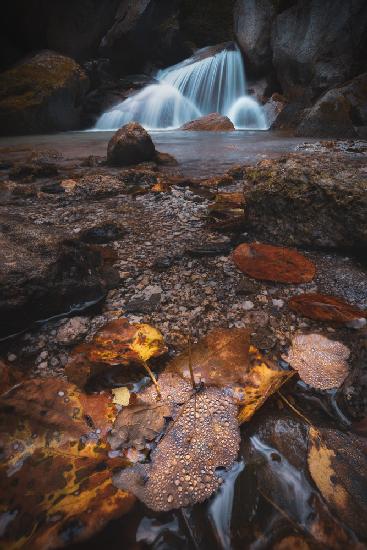 Leaves and waterfalls