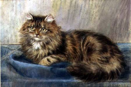 Persian Cat (pastel) from Maud D. Heaps