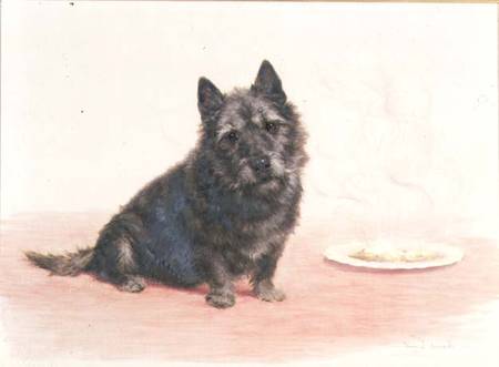 Suppertime - A Scottish Terrier Seated by a Plate from Maud Earl