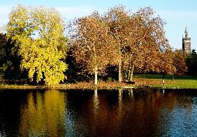 Spaziergang im Wörlitzer Park