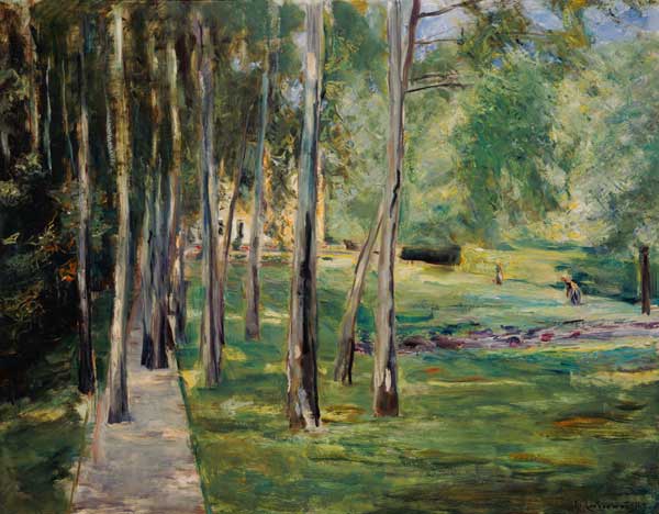 Live at the when lake from Max Liebermann
