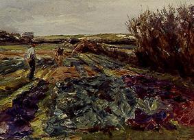 The cabbage field. from Max Liebermann