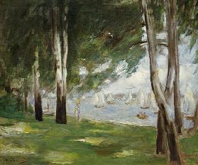 birches at the waterside of the Wannsee