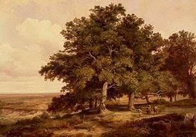 Oak cluster of trees with smallholders in front of a wide landscape. from Max Zimmermann