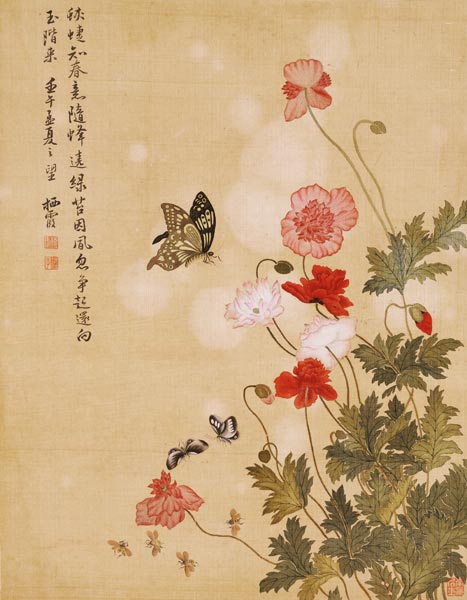 Mohnblumen und Schmetterlinge from Ma Yuanyu
