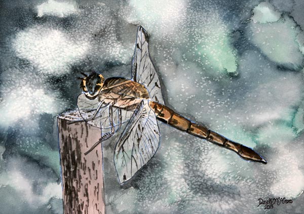 Dragonfly 2 from Derek McCrea