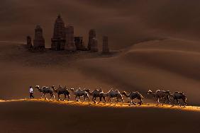 Castle and Camels