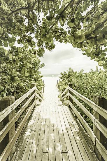 Bridge to the beach | Vintage