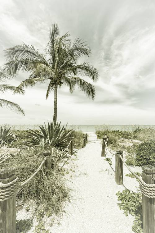 Path to the beach - Palms & Sea | Vintage from Melanie Viola