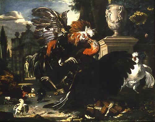Fight between turkey cock and rooster from Melchior de Hondecoeter