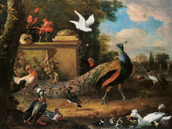 Peacocks and other Birds by a Lake from Melchior de Hondecoeter
