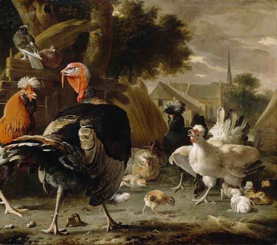 Poultry Yard from Melchior de Hondecoeter